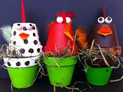 poules "en pots"