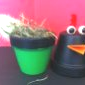 "poule en pots" 6