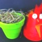 "poule en pots"1