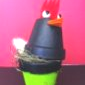 "poule en pots" 12