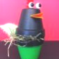 "poule en pots" 5