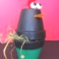 "poule en pots" 14