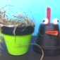 "poule en pots" 17