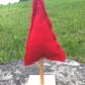 les sapins_ 6