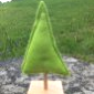les sapins_ 5