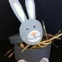 boîte " lapin"_1