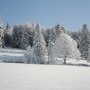 Jean-Gui,La Tanne